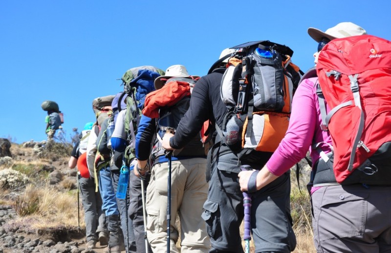 Kilimanjaro - Lemosho Route - 8days/7nights