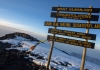 Kilimanjaro - Shira Route 6days/5nights