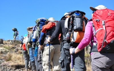 Kilimanjaro - Lemosho Route - 8days/7nights