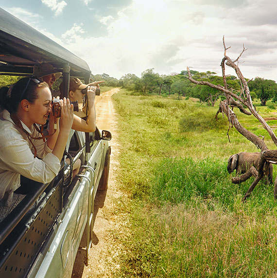 True Vacation African Safaris